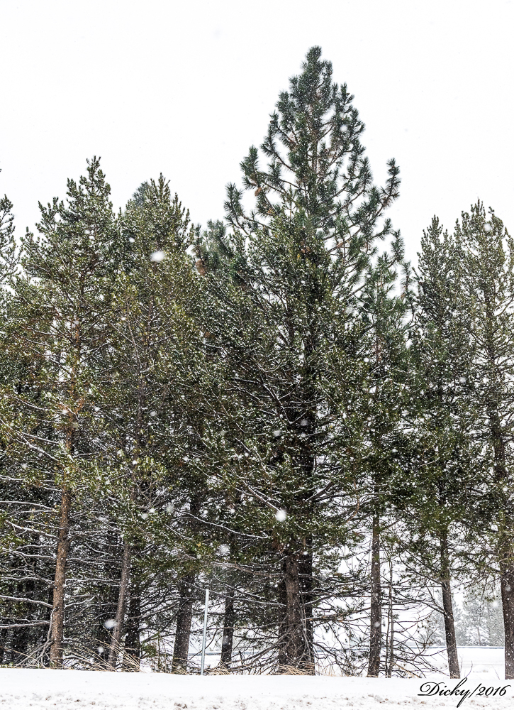 Lago Tahoe, California