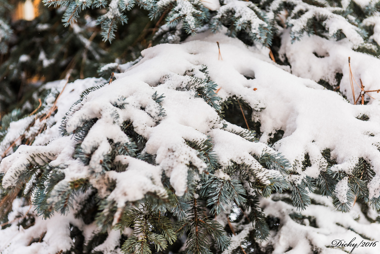 Lago Tahoe, California