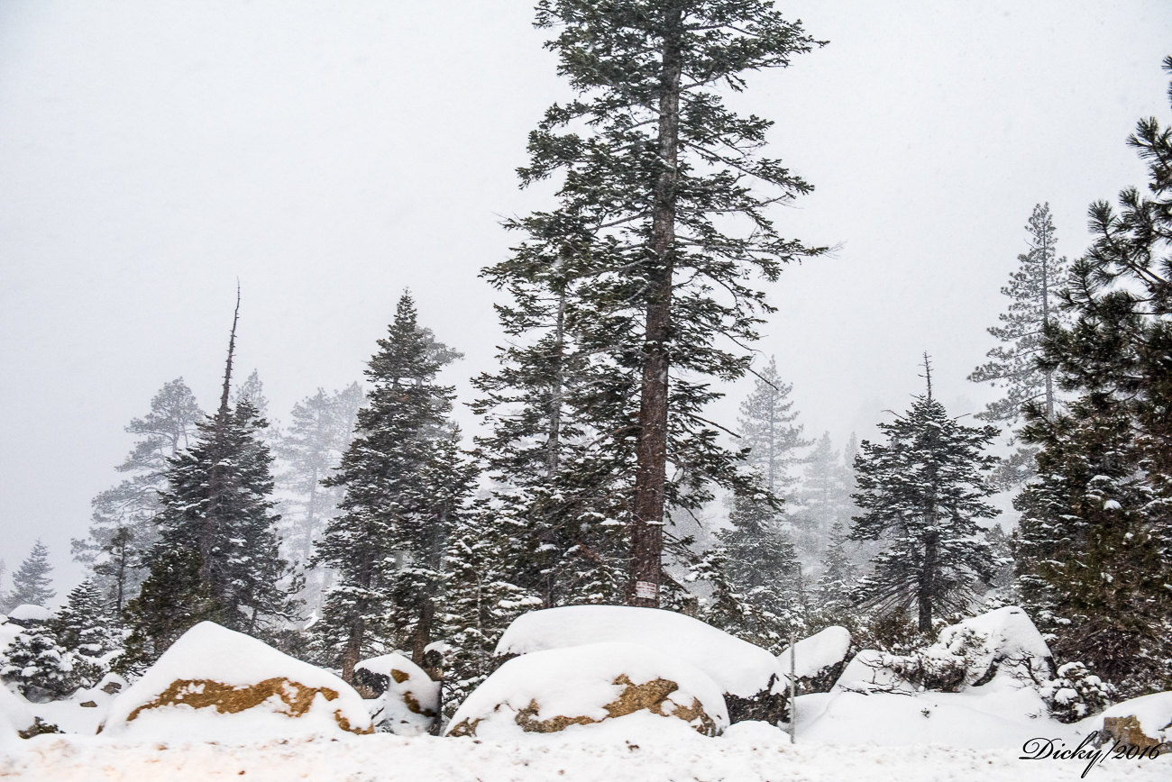 Lago Tahoe, California