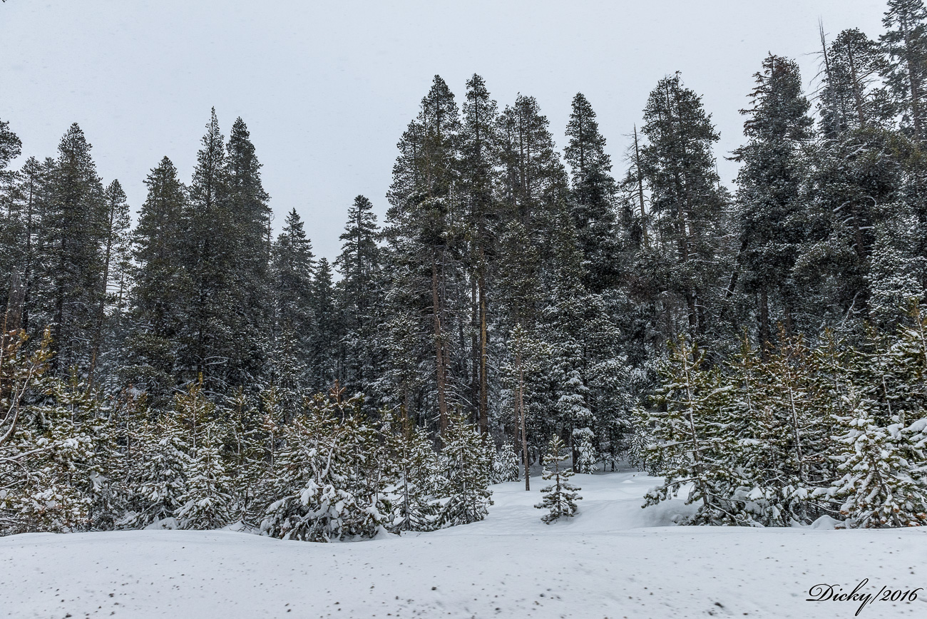 Lago Tahoe, California