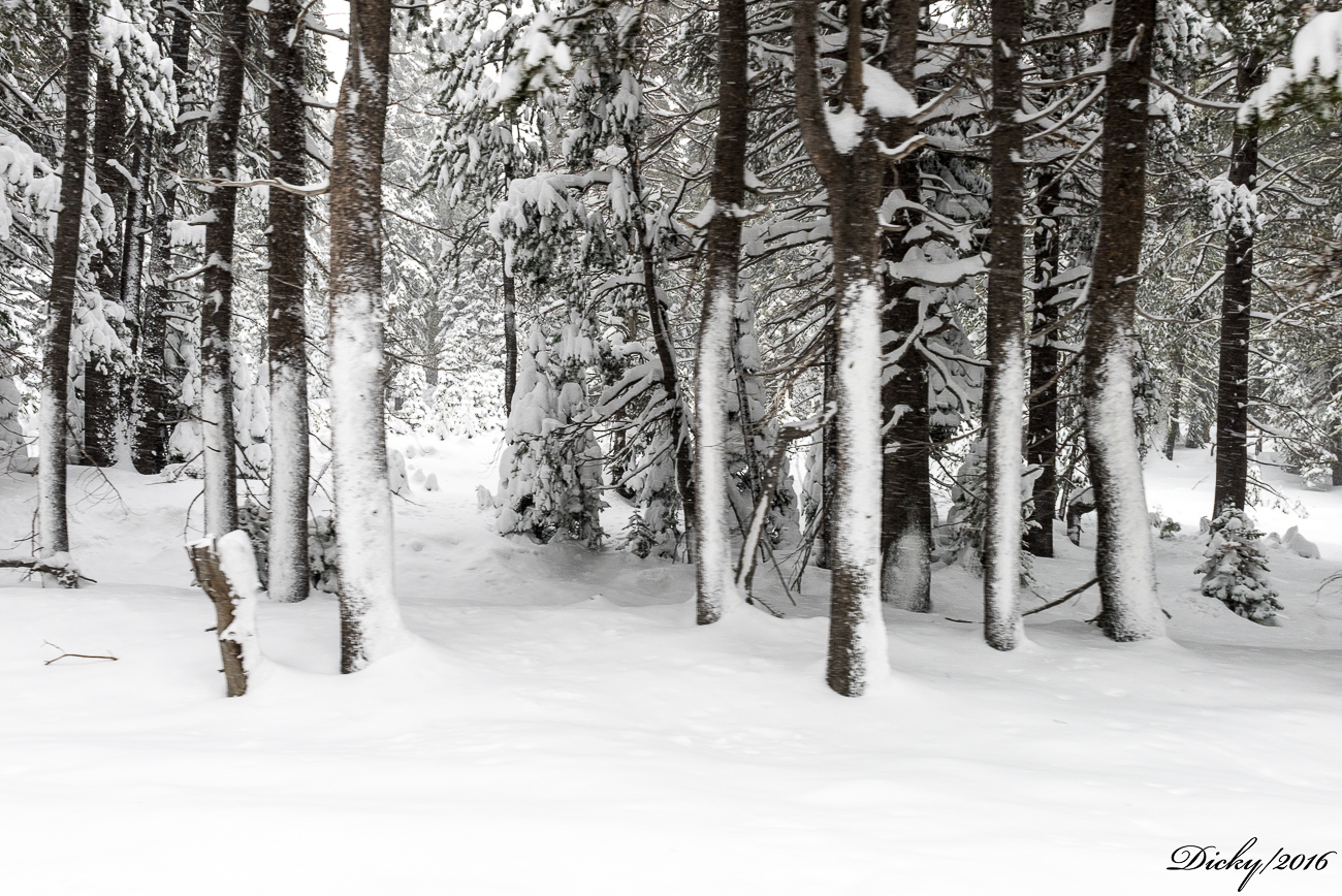 Lago Tahoe, California