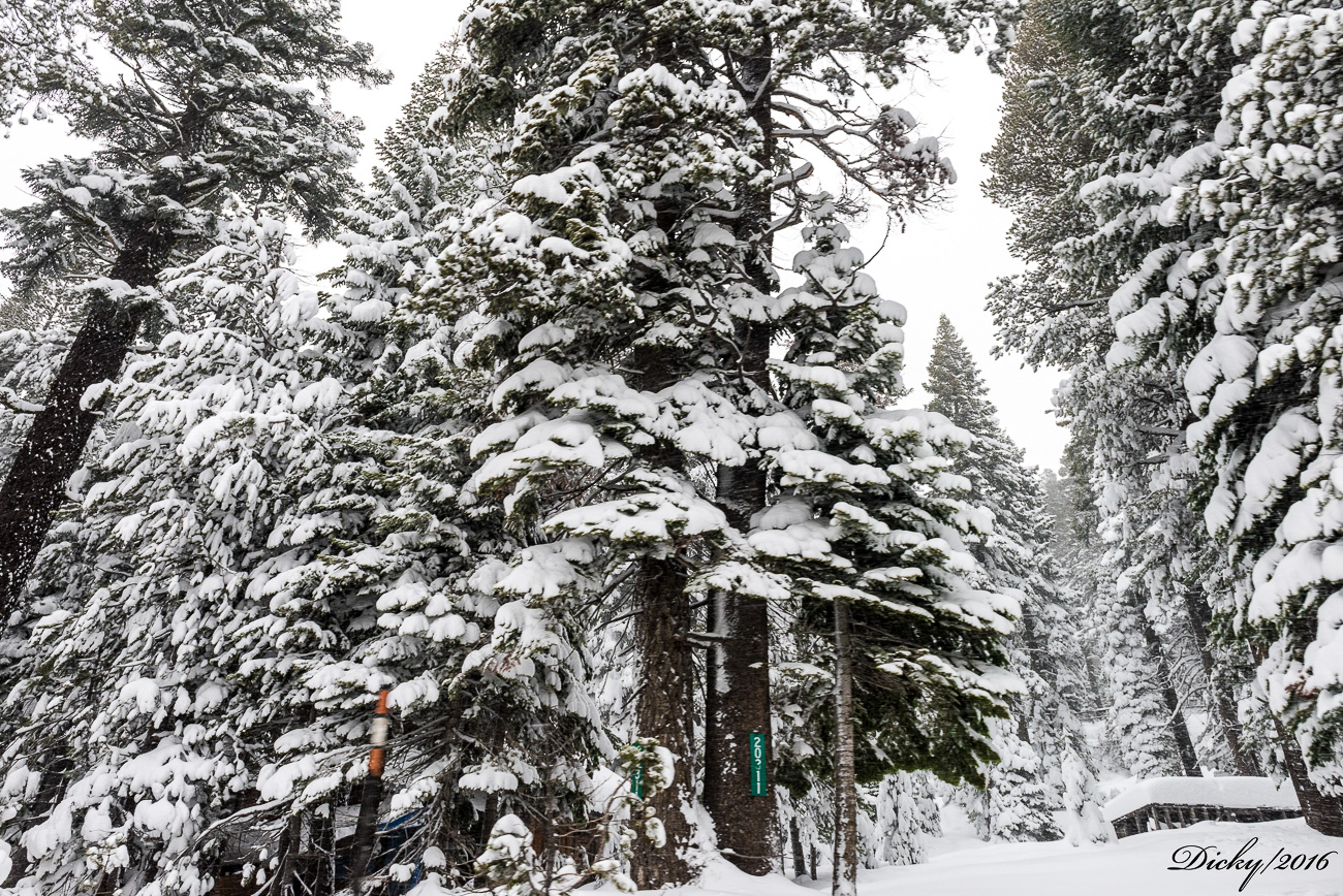 Lago Tahoe, California