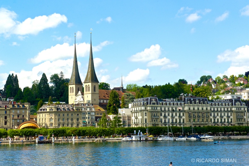 dsc 9481 Alfalfa, Suiza