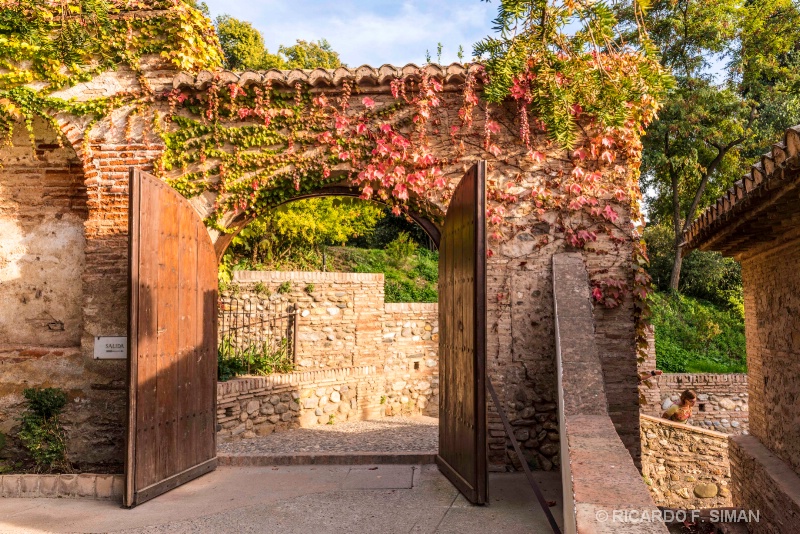 Salida Alhambra de Granada