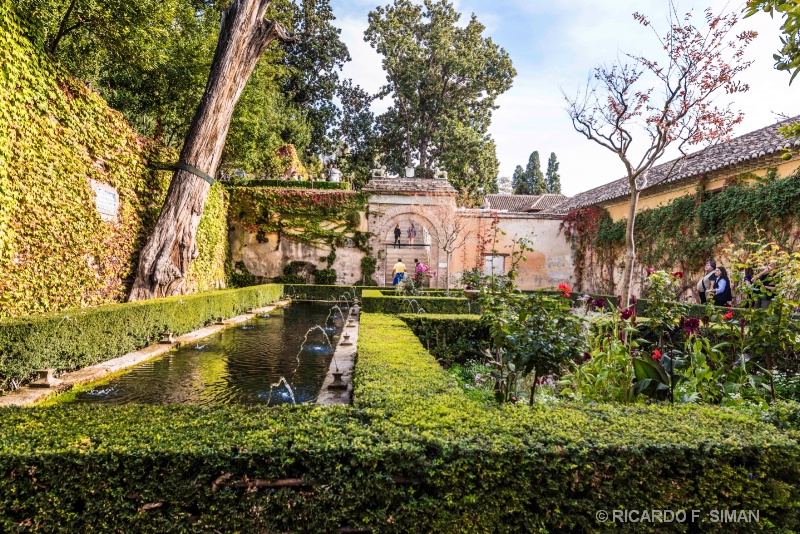 Patio del Ciprés de la Sultana