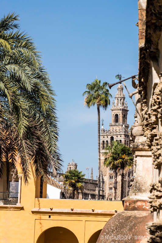 La Giralda, desde Real Alcazar de Sevilla