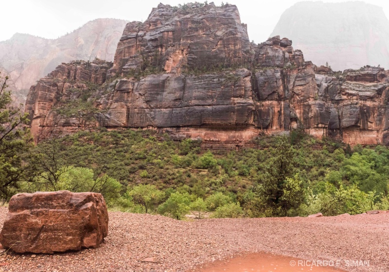 El Gran Trono Blanco, Parque Nacional Zion, Utah