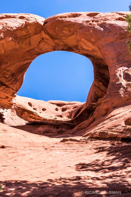 Black Ridge Canyons Wilderness