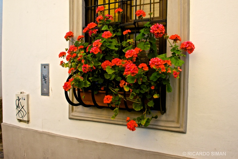 Ornamentacion de ventana en San Andres