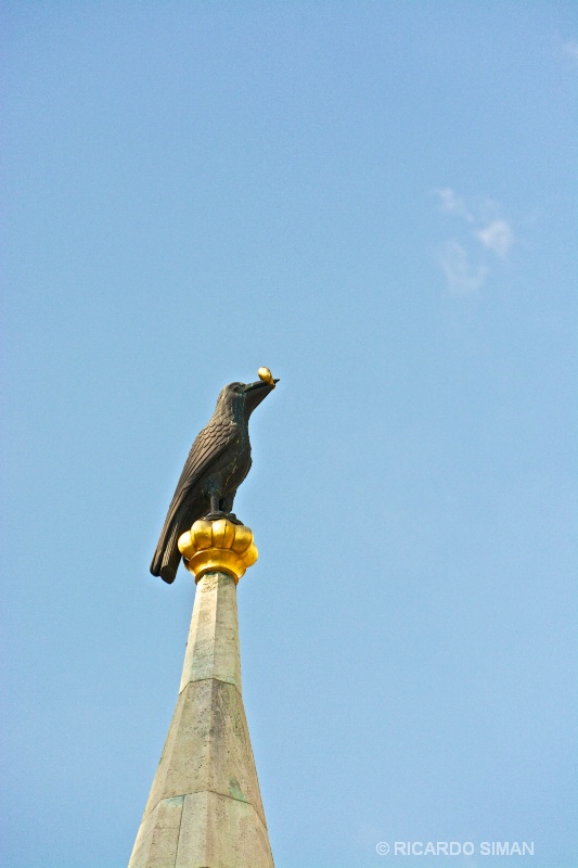 Cuervo con anillo de oro, Iglesia de Matias