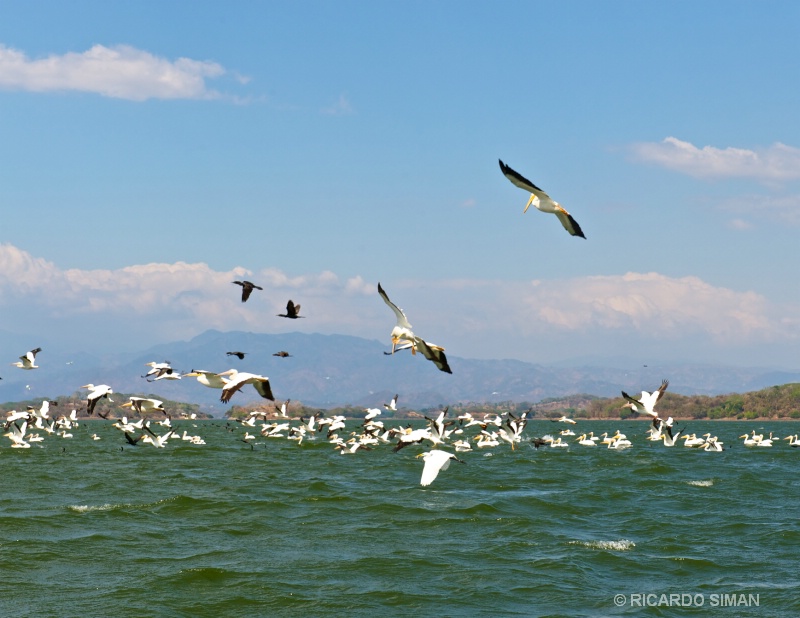 Isla Los Pajaros, Suchitoto