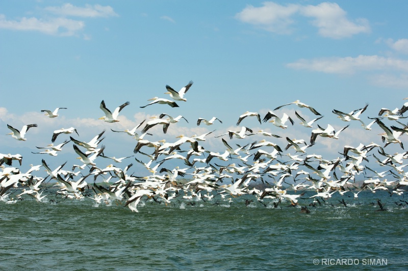 Isla Los Pajaros, Suchitoto