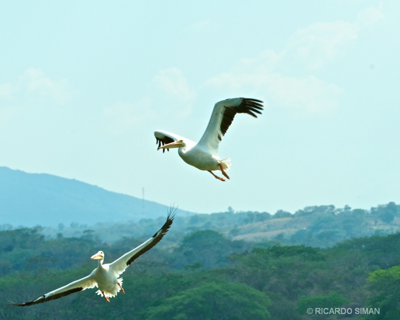 Isla Los Pajaros, Suchitoto