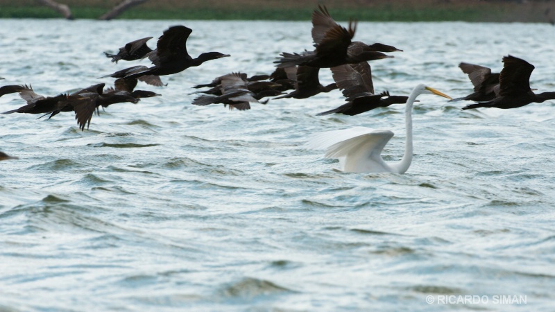 Isla Los Pajaros, Suchitoto