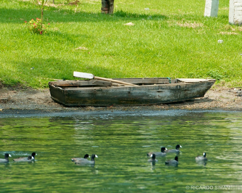 Lancha abandonada en Lago
