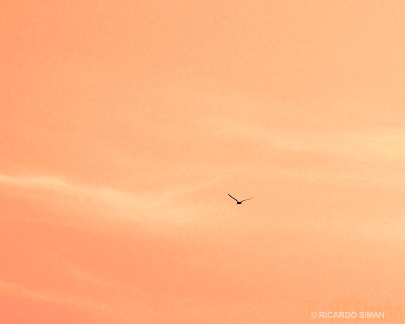 Atardecer en la Costa