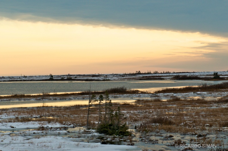 dsc 7947 Churchill, Manitoba, Canada