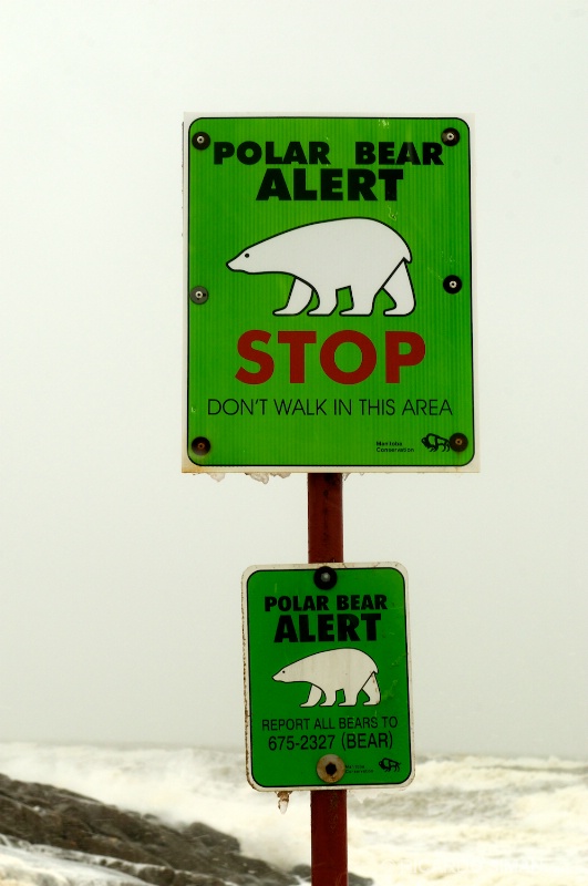 dsc 7766 Churchill, Manitoba, Canadá