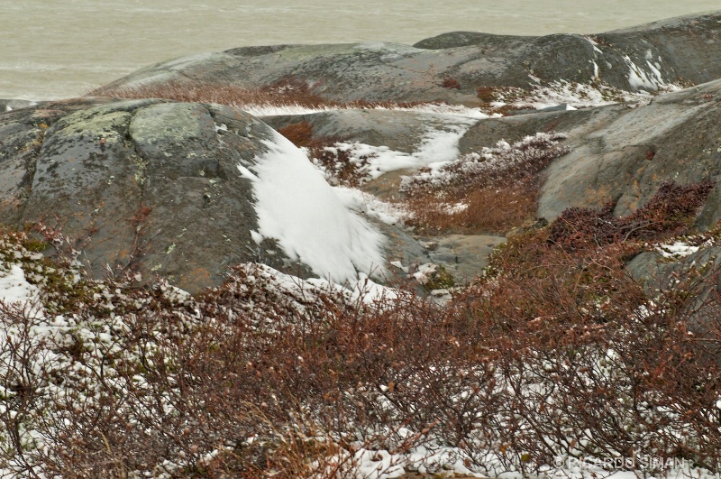 dsc 7756 Bahia de Hudson,Churchill, Manitoba, Canadá