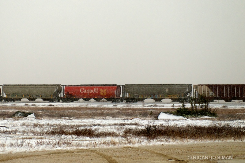 dsc 7688 Tren a Churchill, Manitoba, Canadá