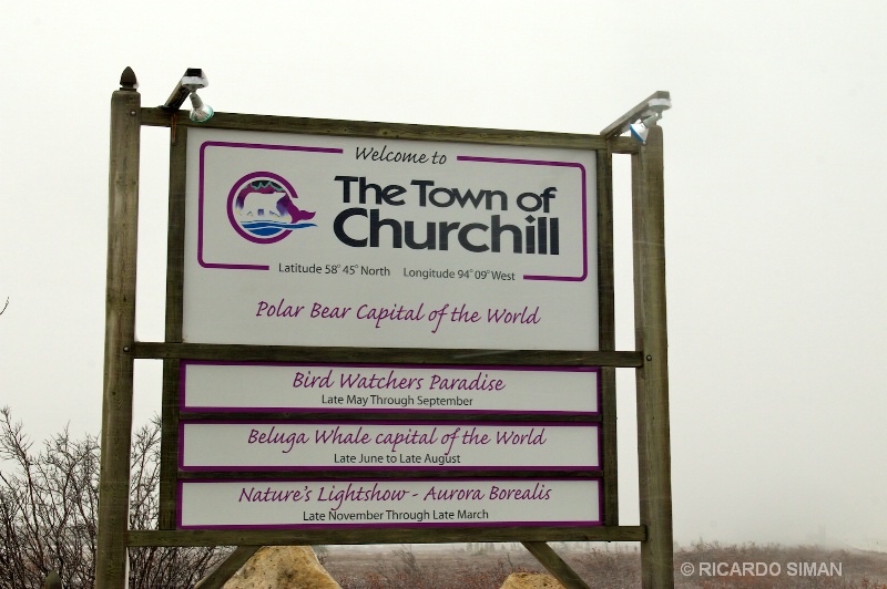 dsc 7679 Churchill, Manitoba, Canadá