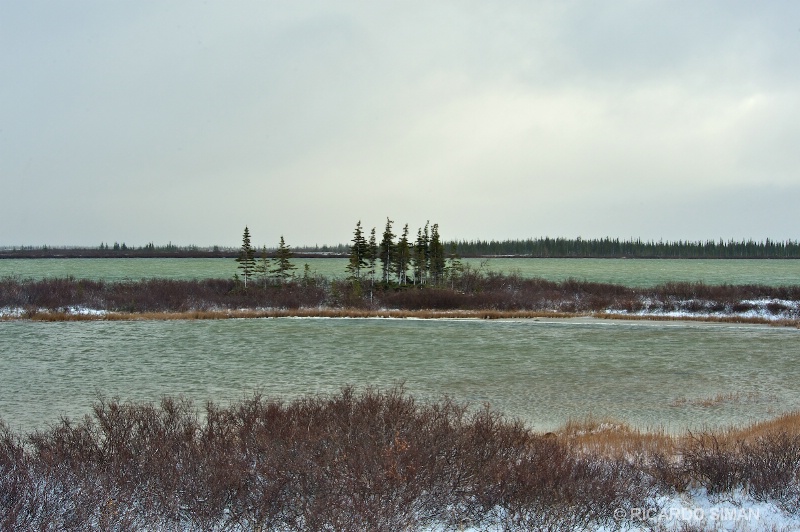 dsc 1088 1 Churchill, Manitoba, Canadá