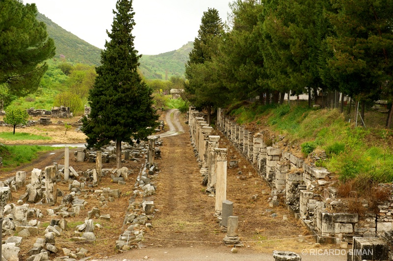 Las Ruinas de Efeso