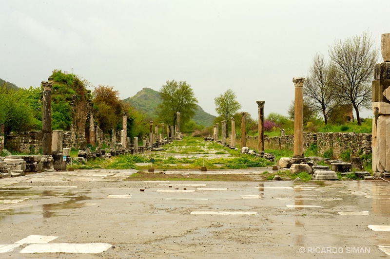 Las Ruinas de Efeso