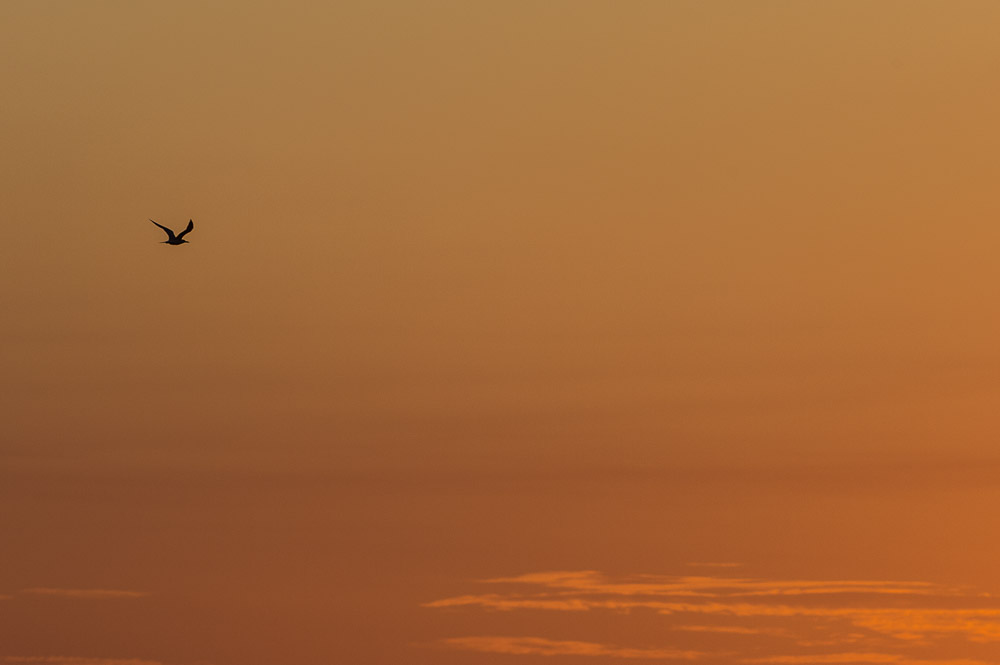 Atardecer en la playa