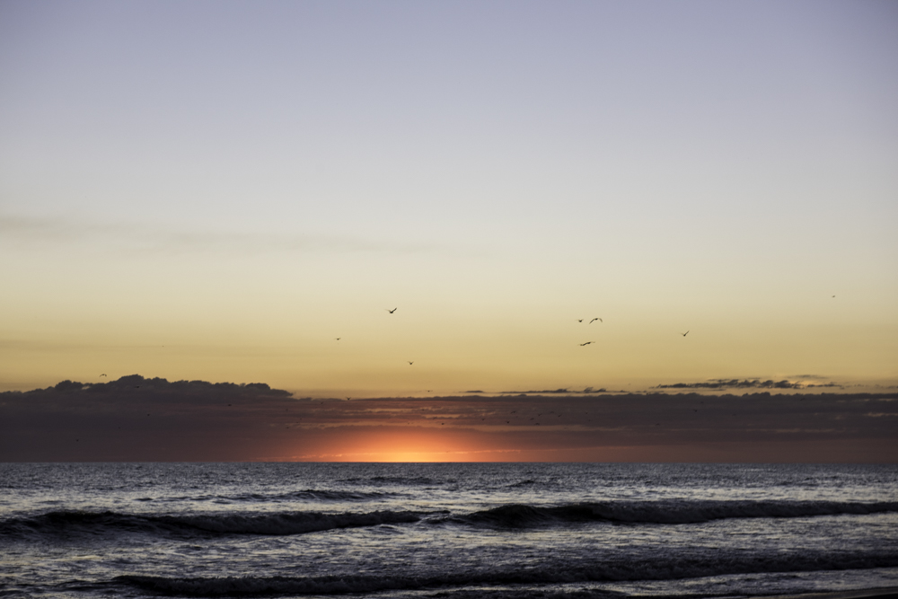 Puesta de Sol en la Costa