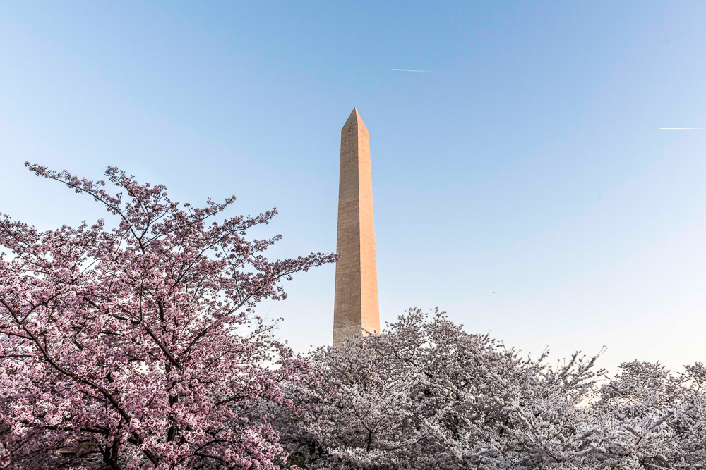 DSC_6258 Monumento a Washington