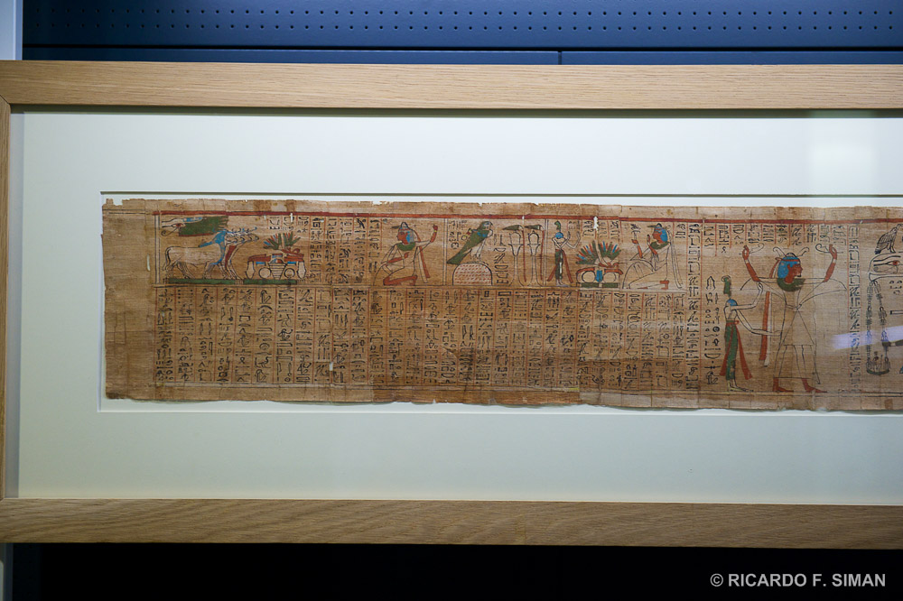 Museo Egipcio, Turin