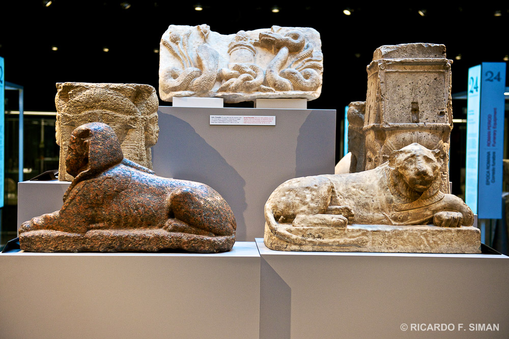 Museo Egipcio, Turin