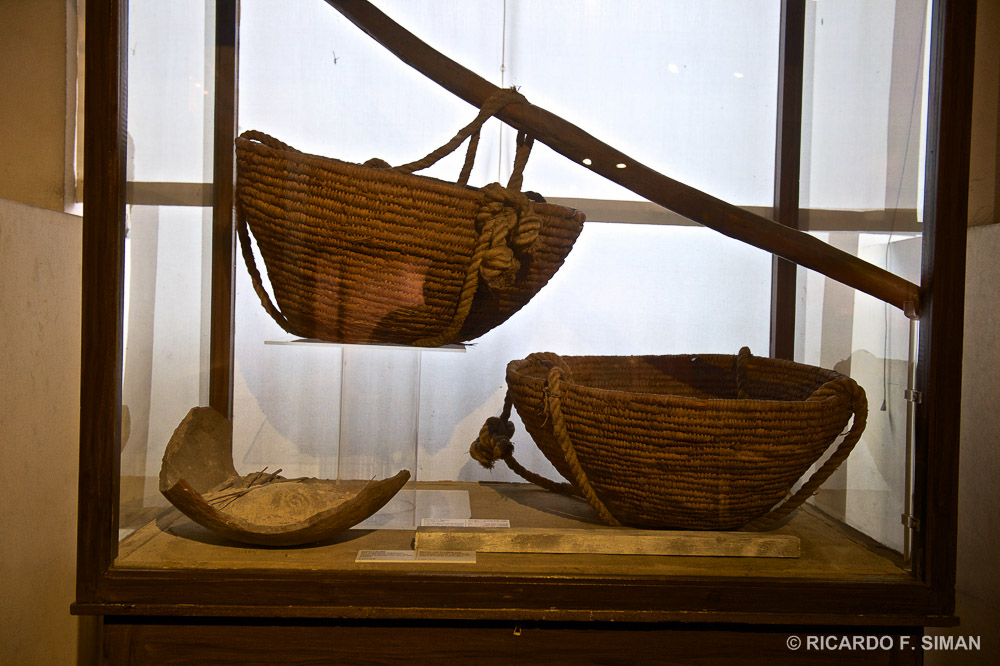 Museo Egipcio, Turin