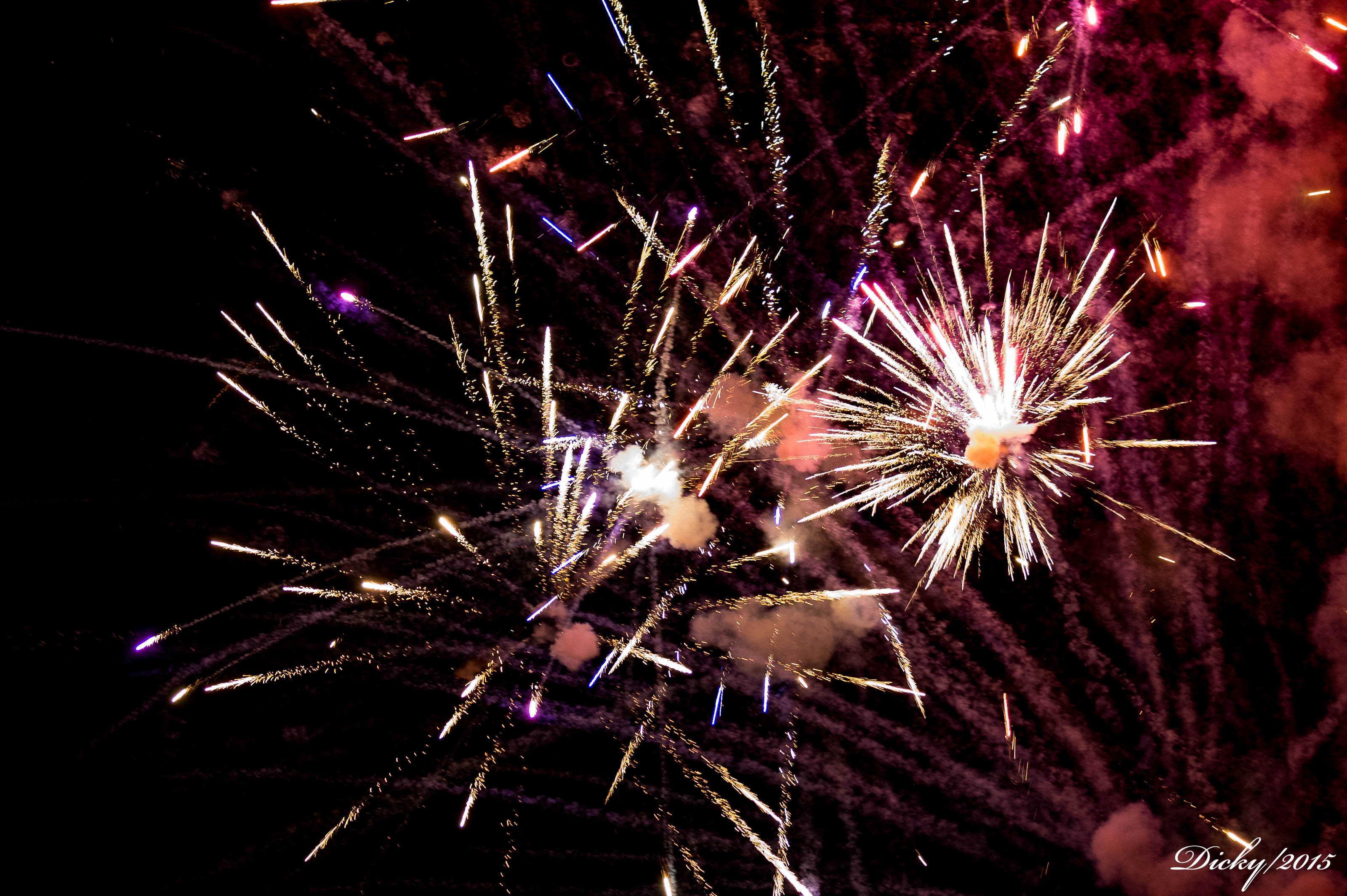 _DSC8554 Fin de Año 2015, Costa del Sol