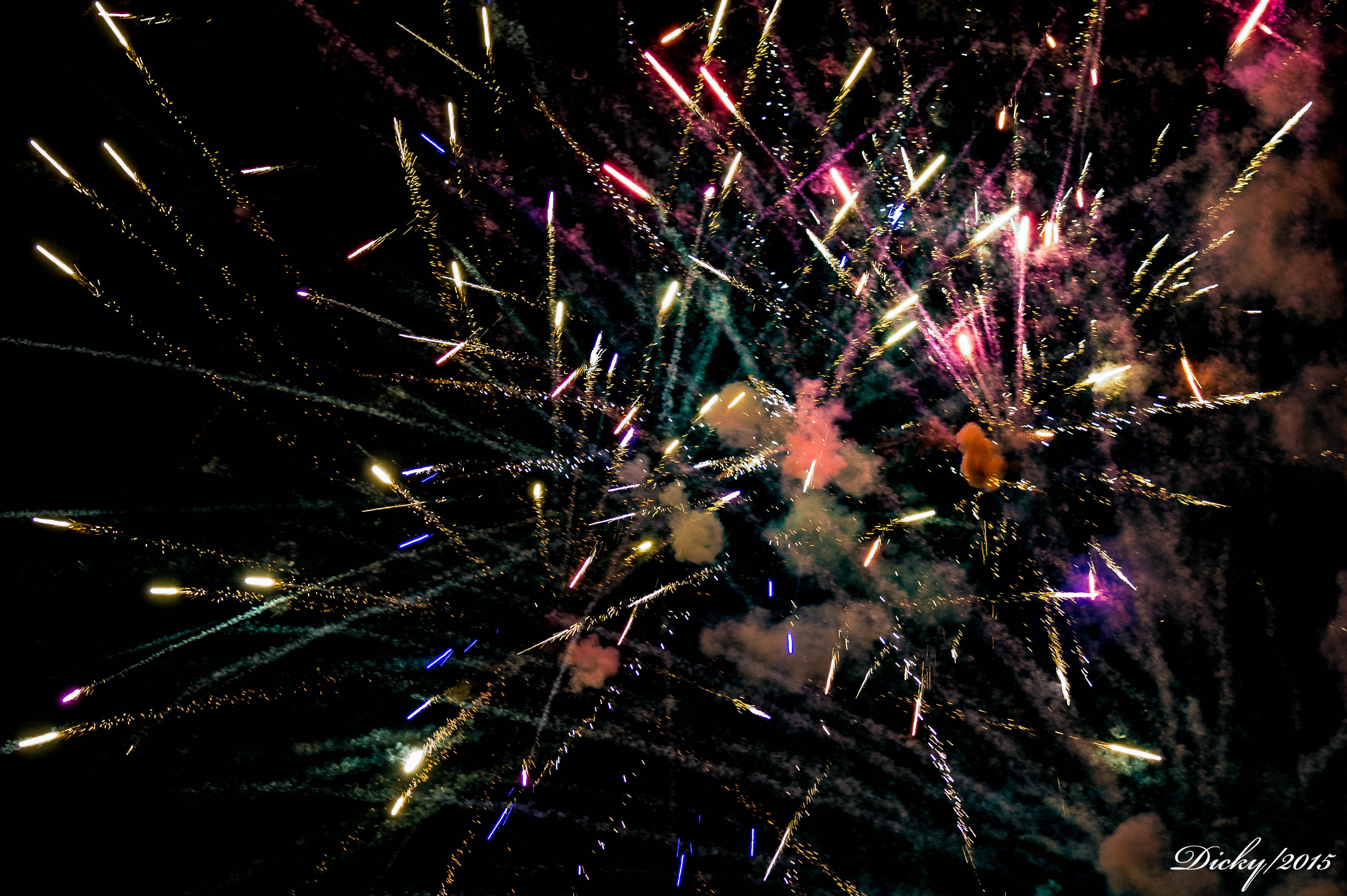 _DSC8555 Fin de Año 2015, Costa del Sol