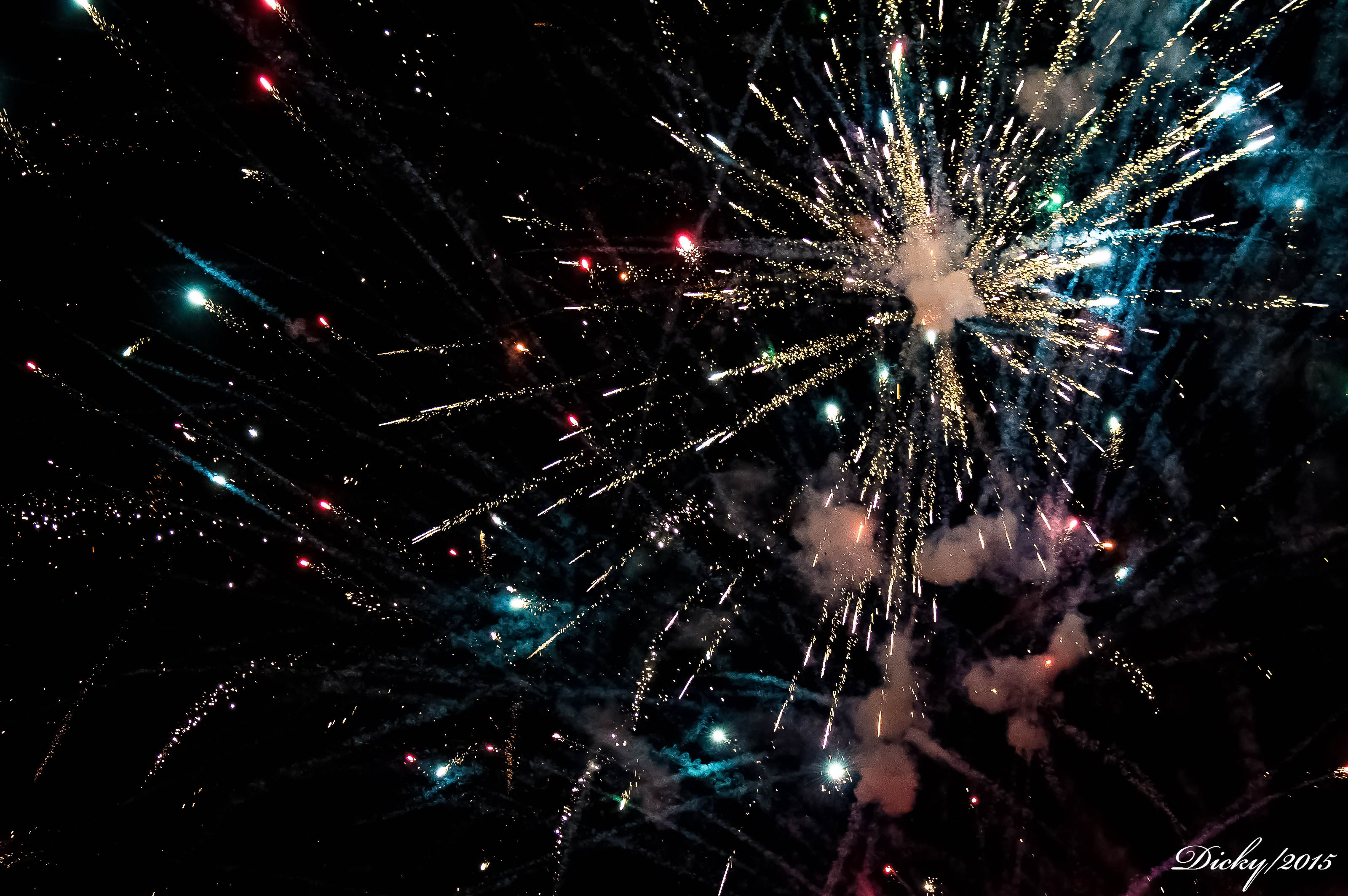 _DSC8563 Fin de Año 2015, Costa del Sol