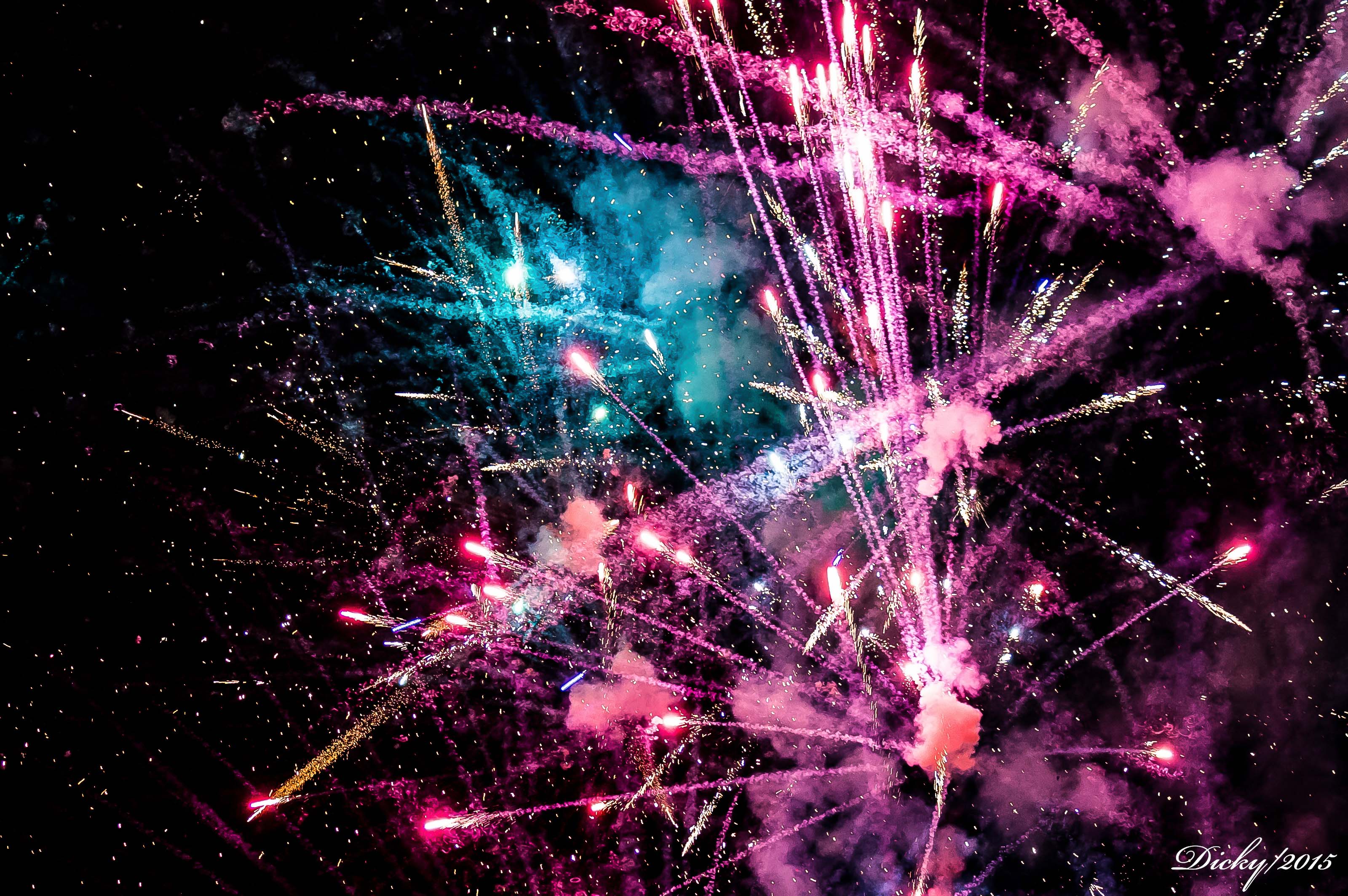 _DSC8634 Fin de Año 2015, Costa del Sol