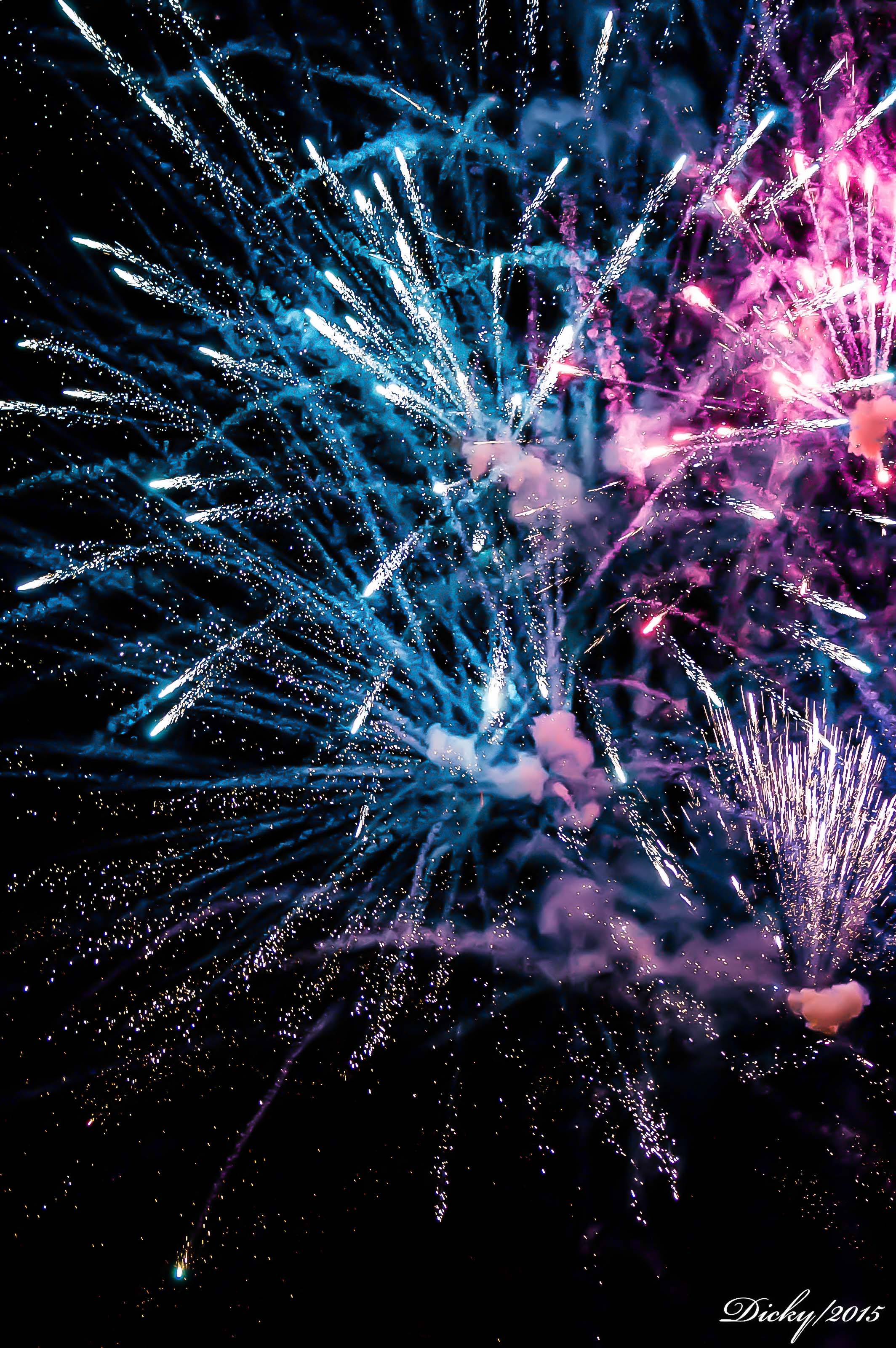 _DSC8674 Fin de Año 2015, Costa del Sol