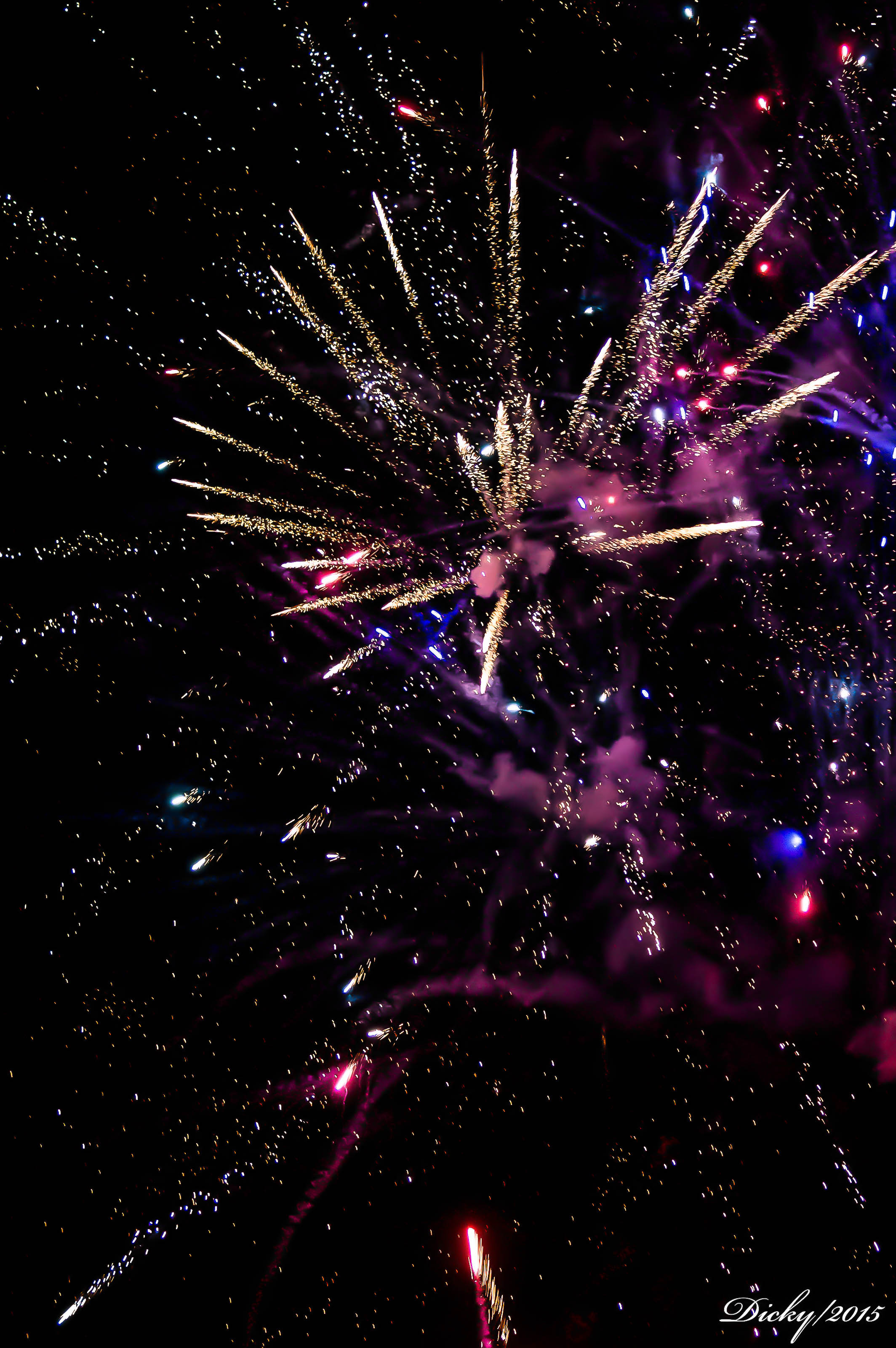 _DSC8678 Fin de Año 2015, Costa del Sol