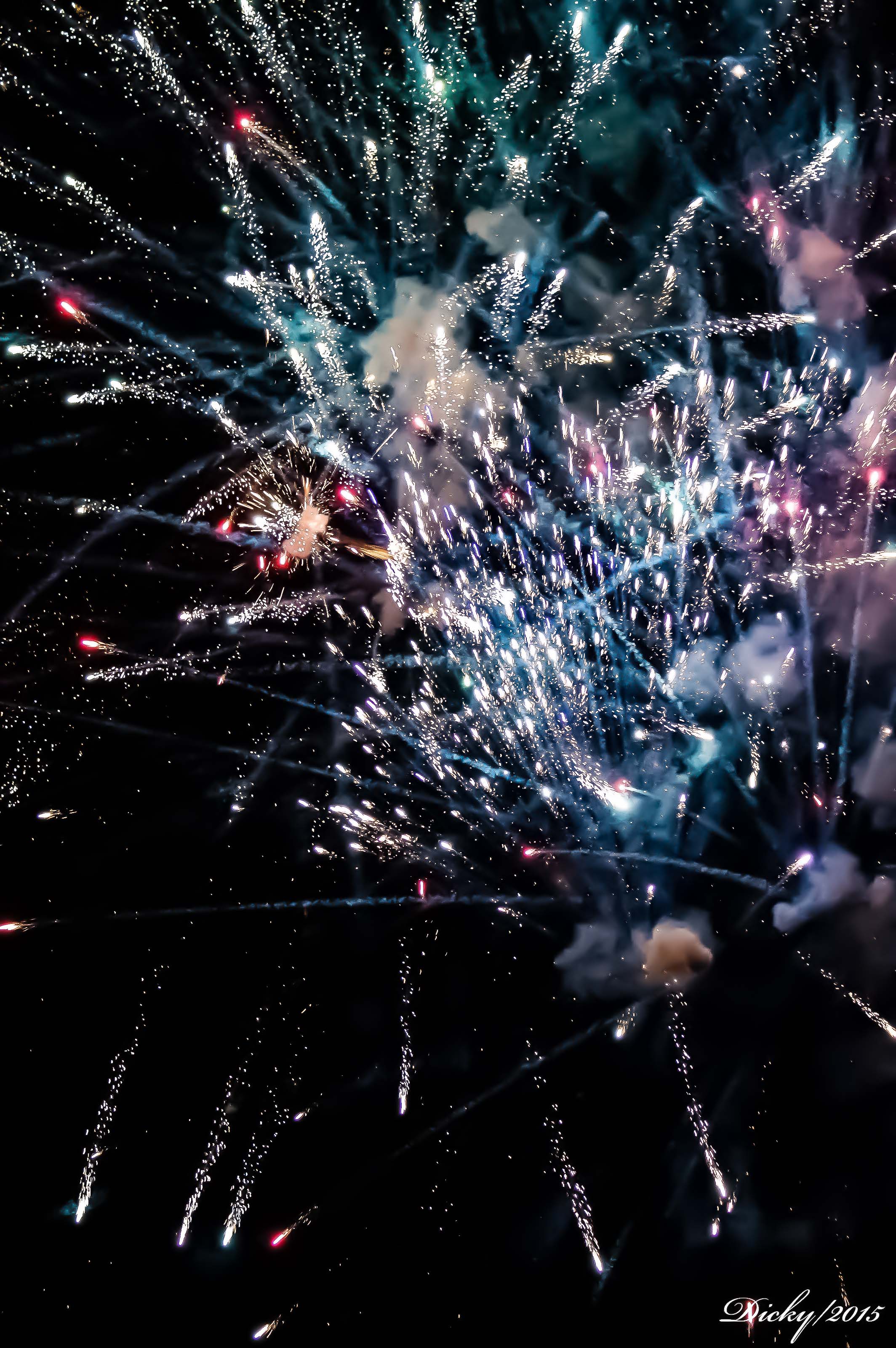 _DSC8694 Fin de Año 2015, Costa del Sol