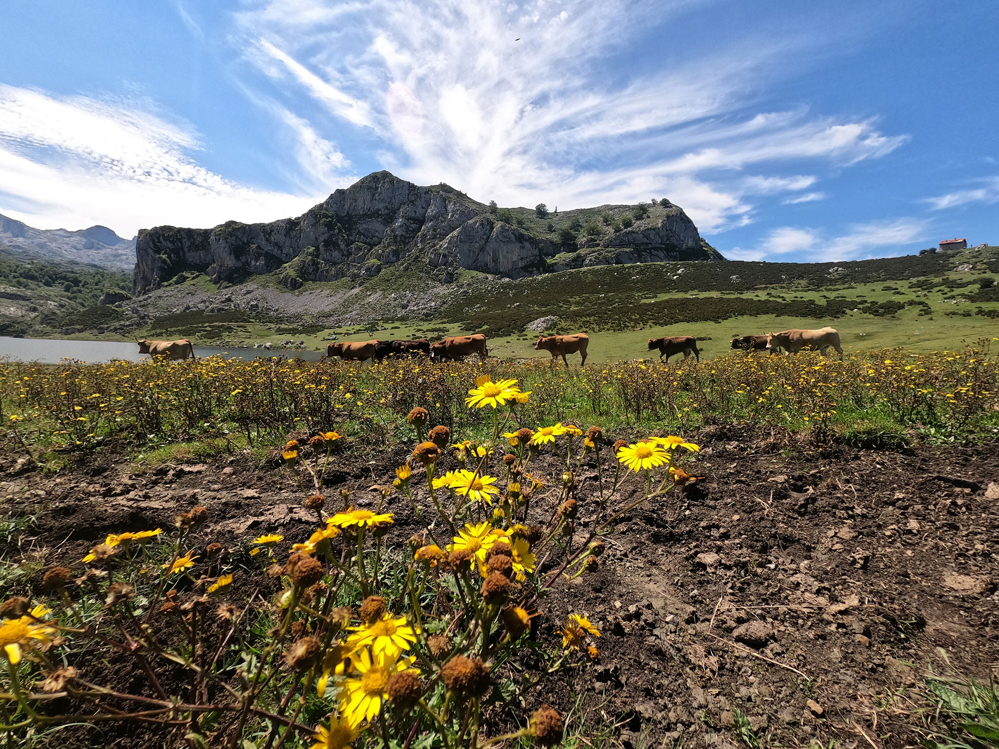 Picos Europa