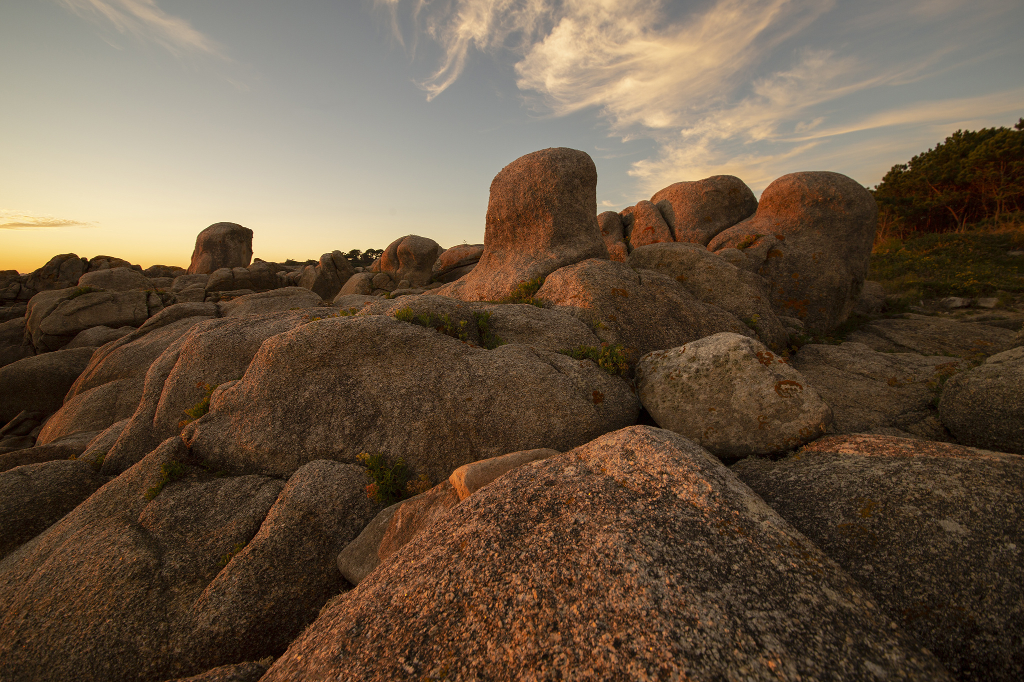 Sendero Pedras Negras, O Grove