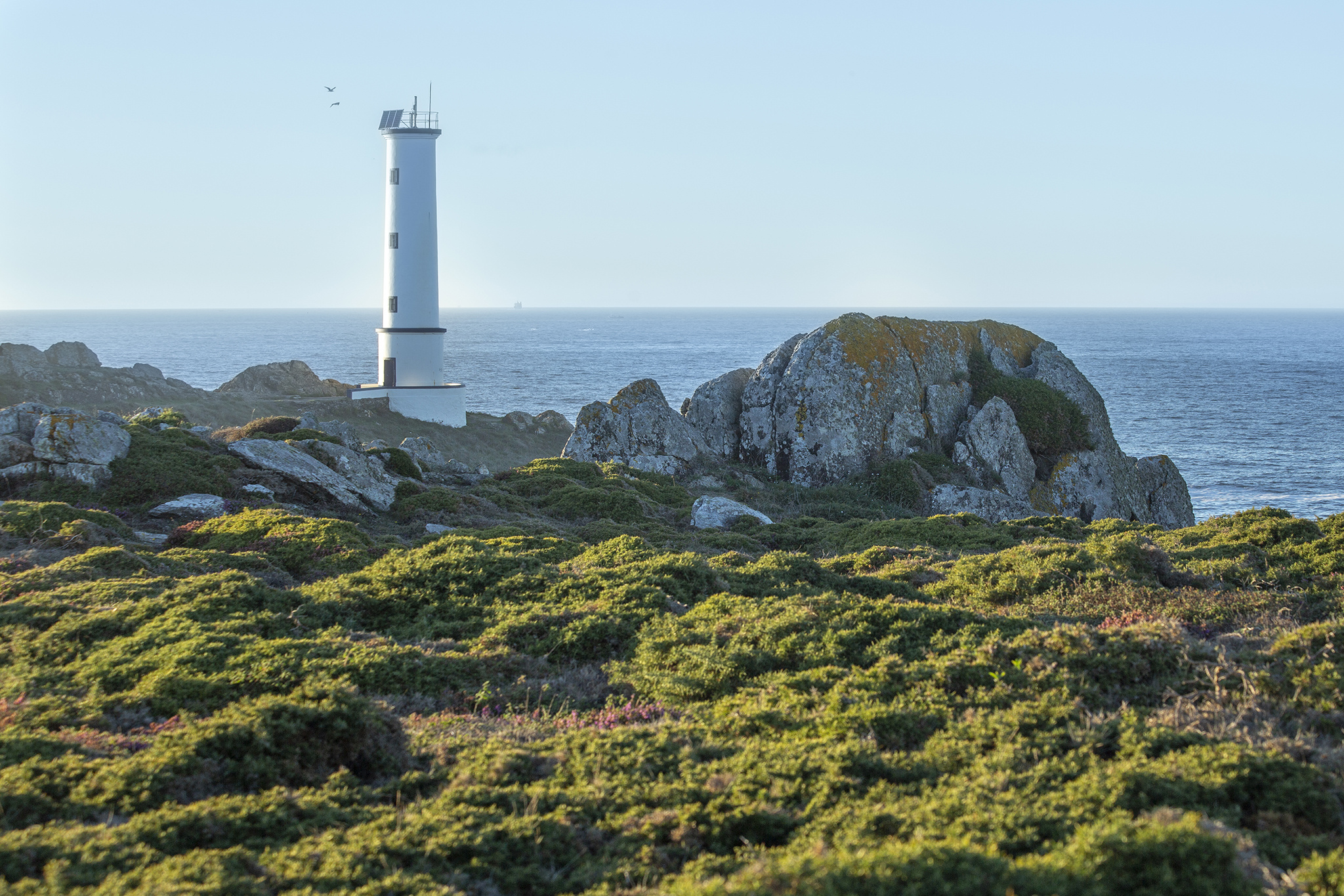 Faro de Cabo Home