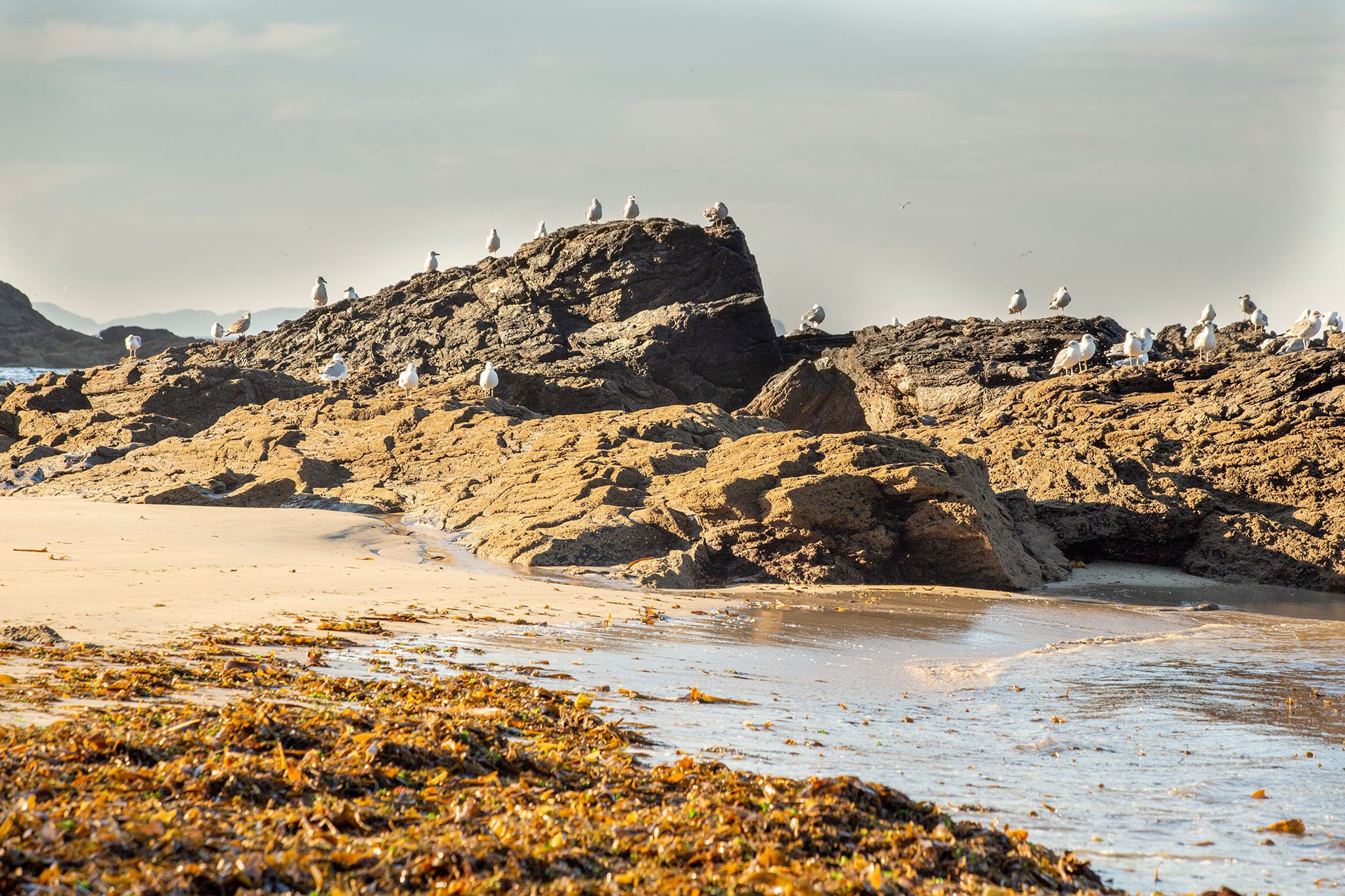 Praia de Fonforron