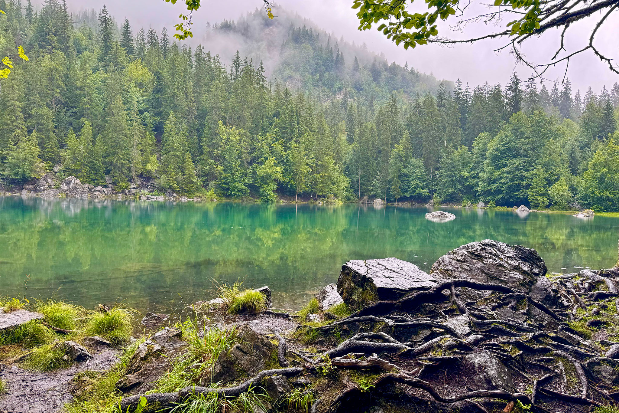 Lac Vert
