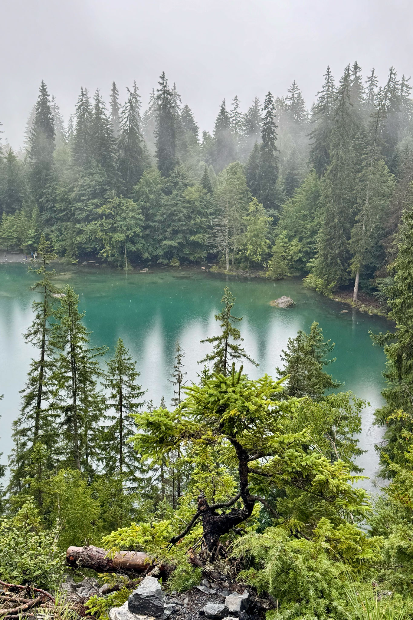 Lac Vert
