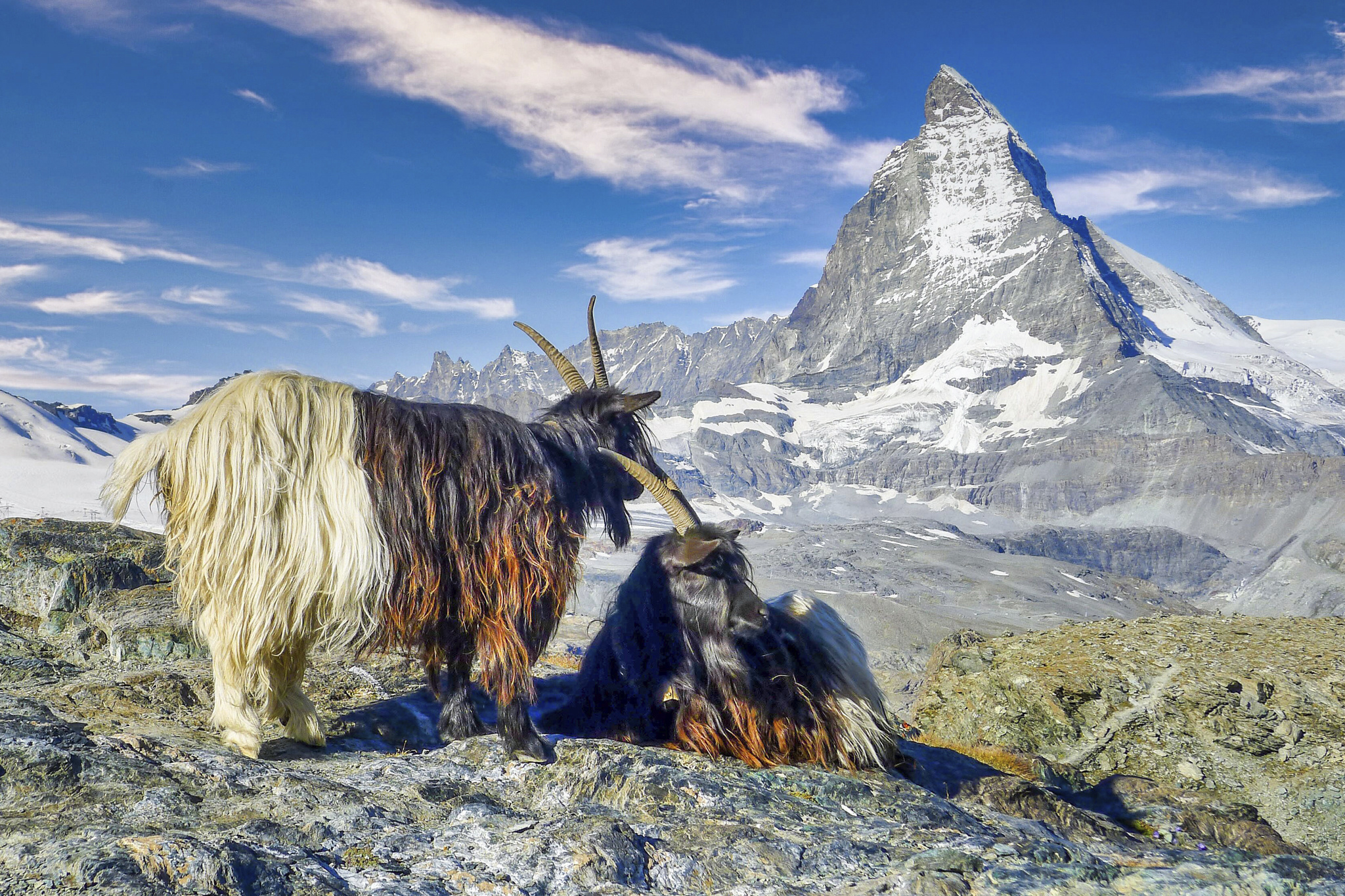 Monte Cervino, Zermatt