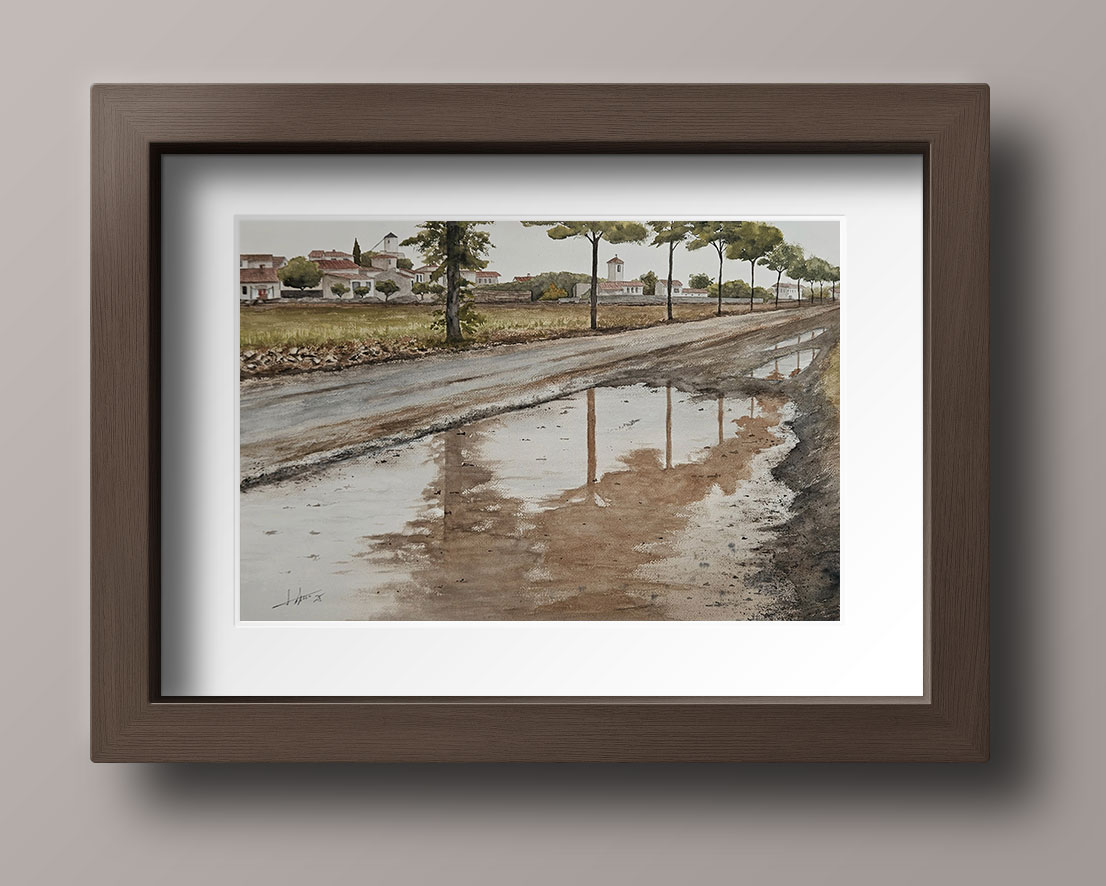  61x41cm -Reflejos